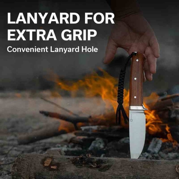 Couteau CIVIVI Cloud Peak Wood Manche Guibourtia Lame Drop Point Satin Acier Nitro-V Etui Cuir CIVC230443 - Livraison Gratuite