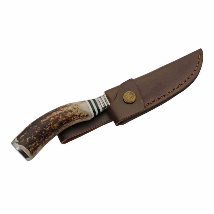 Couteau De Chasse Hunter Stag Manche Bois de Cerf Lame Acier Inox Etui Cuir PA203455 - Livraison Gratuite