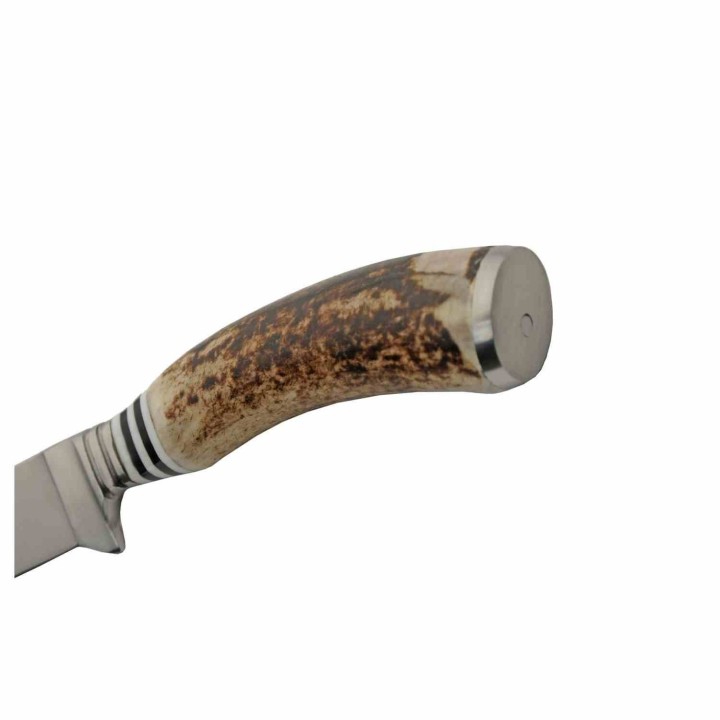 Couteau De Chasse Hunter Stag Manche Bois de Cerf Lame Acier Inox Etui Cuir PA203455 - Livraison Gratuite