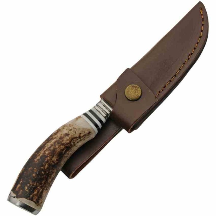 Couteau De Chasse Hunter Stag Manche Bois de Cerf Lame Acier Inox Etui Cuir PA203455 - Livraison Gratuite