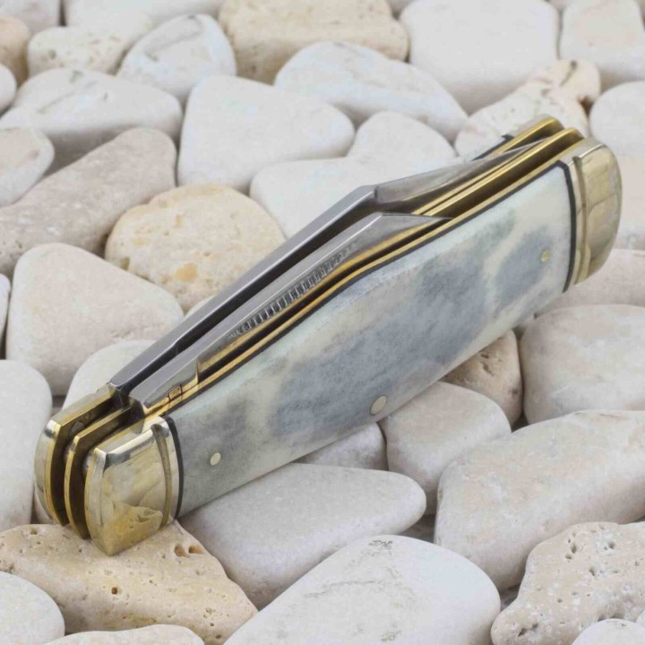 Couteau Rough Ryder Appaloosa Gray Bone 2 Lames Acier Inox Boite Collector RR2485 - Livraison Gratuite