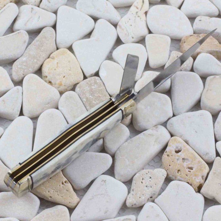 Couteau Rough Ryder Appaloosa Gray Bone 2 Lames Acier Inox Boite Collector RR2485 - Livraison Gratuite