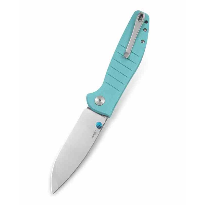 Couteau Bestech Goodboy Light Blue Manche G10 Lame Acier D2 SW IKBS Button Lock Clip BTKMK04B - Livraison Gratuite