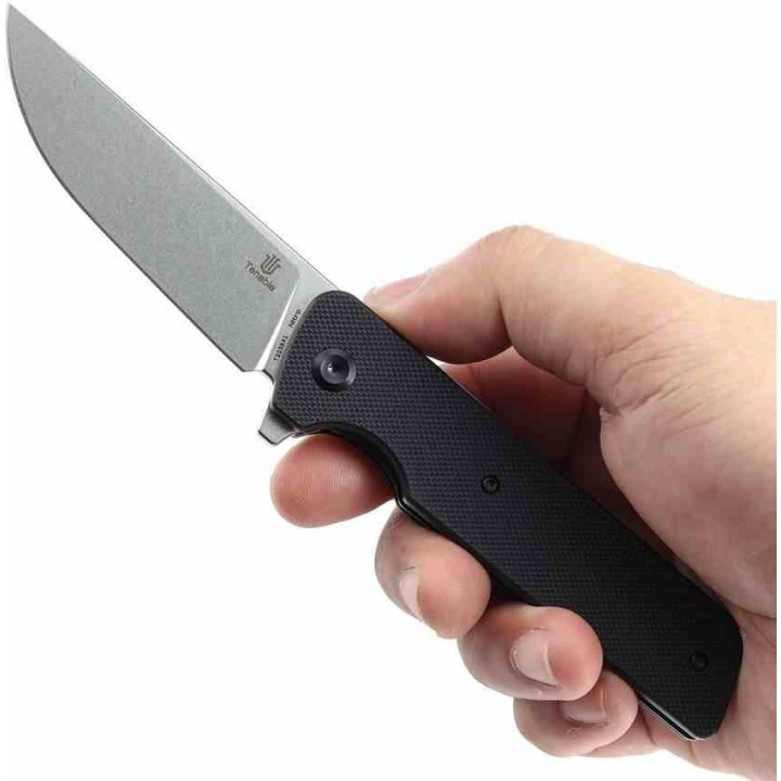  Couteau Tenable Anomaly Black Manche G10 Lame Acier Nitro-V SW IKBS Linerlock Clip T2038A1 - Livraison Gratuite