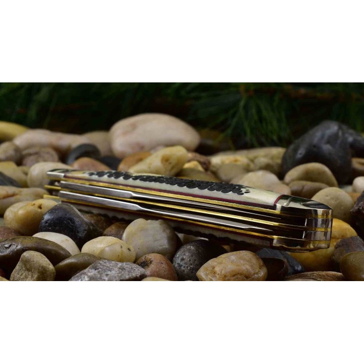 Couteau Rough Ryder Buckshot Bone Trapper Lames Acier 440A Manche Os Slip Joint RR1544 - Livraison Gratuite