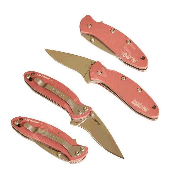 Couteau KERSHAW CHIVE KS1660P SPEED ASSIST 420HC