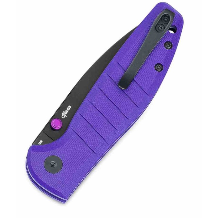 Couteau Bestechman Goodboy Violet G10 Handle Lame Acier Acier D2 PVD Linerlock BTKMK10G - Livraison Gratuite