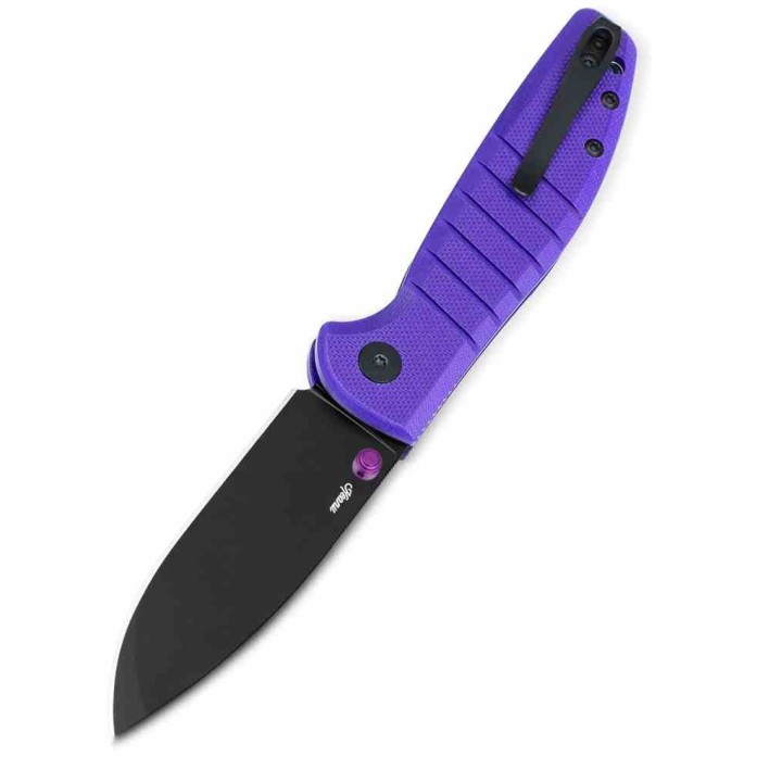 Couteau Bestechman Goodboy Violet G10 Handle Lame Acier Acier D2 PVD Linerlock BTKMK10G - Livraison Gratuite