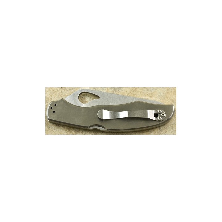 Couteau BYRD Spyderco CARA CARA 2 Manche Acier Serrated Blade BY03PS2
