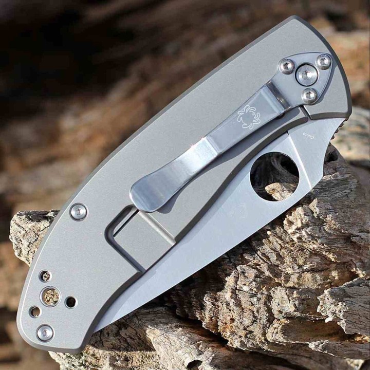 Couteau Spyderco Tenacious R.I.L. TI Gray Lame Acier 8Cr13MoV Manche Titane Frame Lock SC122TIP - Livraison Gratuite