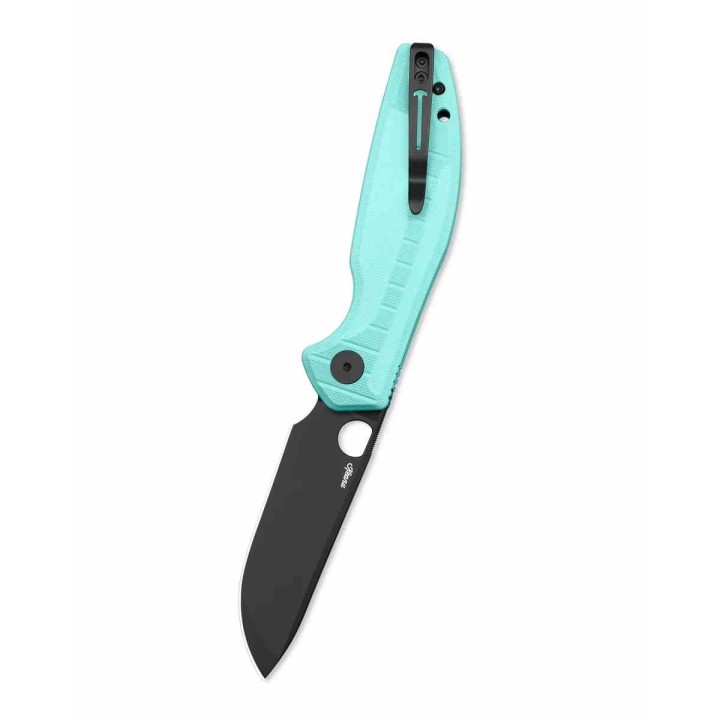 Couteau Bestechman Angry Owl Aqua Lame Acier D2 Black Manche G10 IKBS Button Lock BTKMK12B1 - Livraison Gratuite