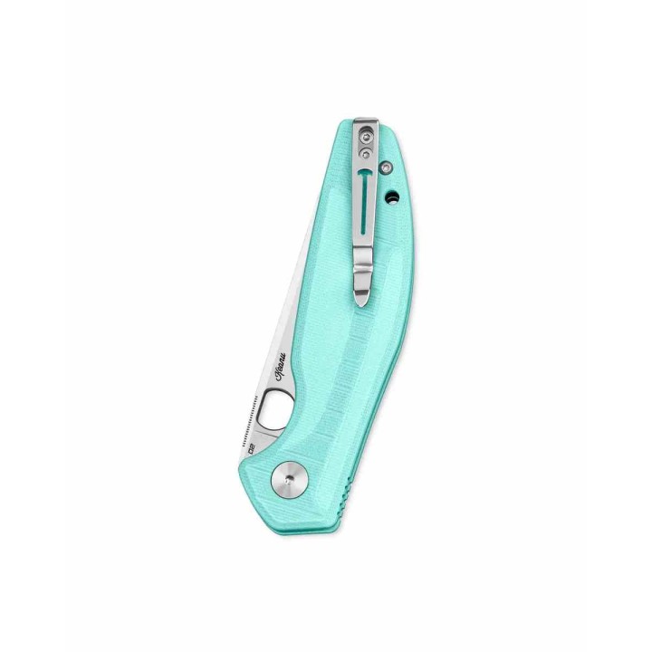 Couteau Bestechman Angry Owl Aqua Lame Acier D2 Satin Manche G10 IKBS Button Lock BTKMK12B1 - Livraison Gratuite