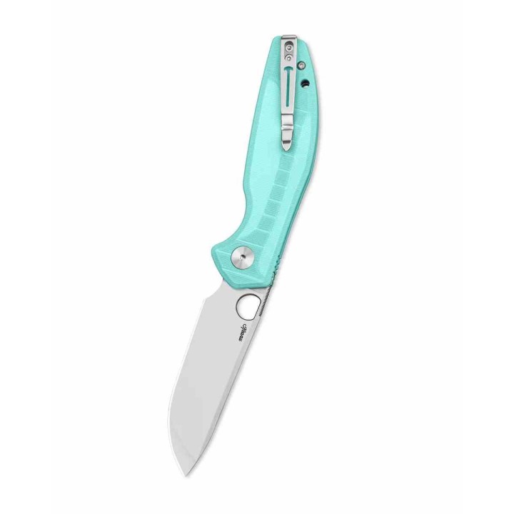 Couteau Bestechman Angry Owl Aqua Lame Acier D2 Satin Manche G10 IKBS Button Lock BTKMK12B1 - Livraison Gratuite
