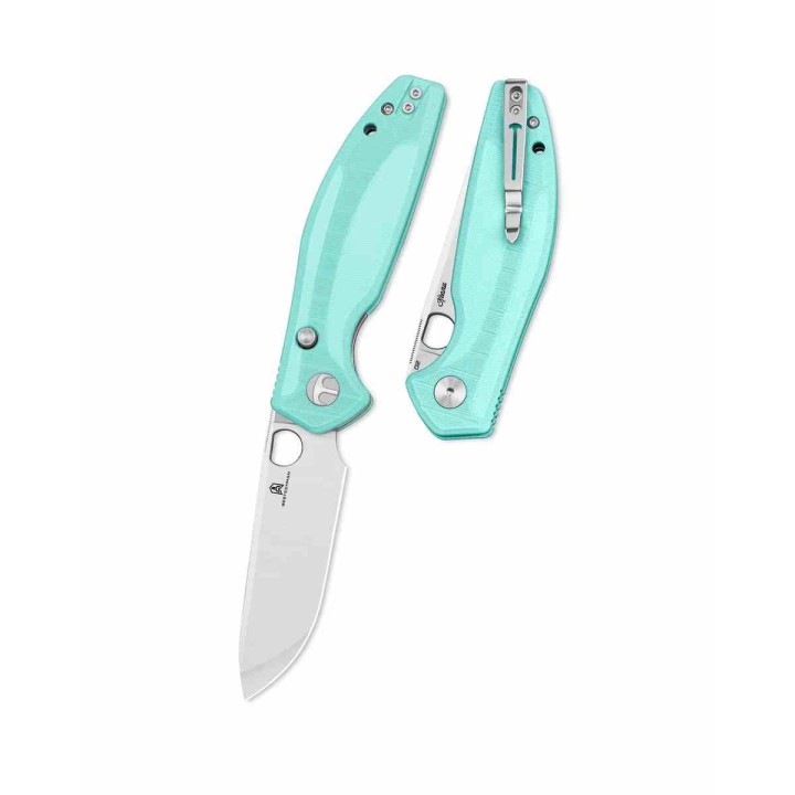 Couteau Bestechman Angry Owl Aqua Lame Acier D2 Satin Manche G10 IKBS Button Lock BTKMK12B1 - Livraison Gratuite
