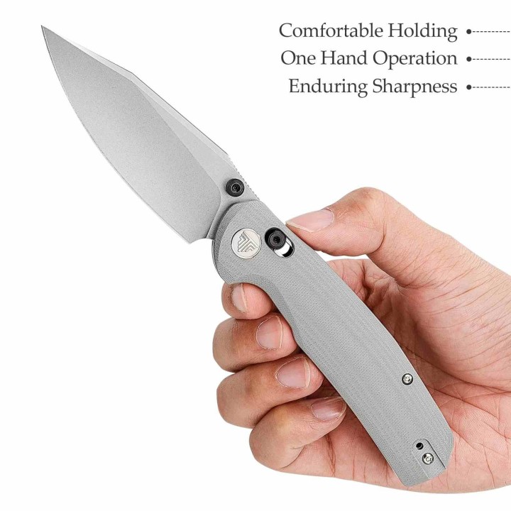 Couteau TRIVISA Hornet-03G Gray Axis Lock Lame Drop Point Acier 14C28N Manche G-10 IKBS TVJM01GG14 - Livraison Gratuite