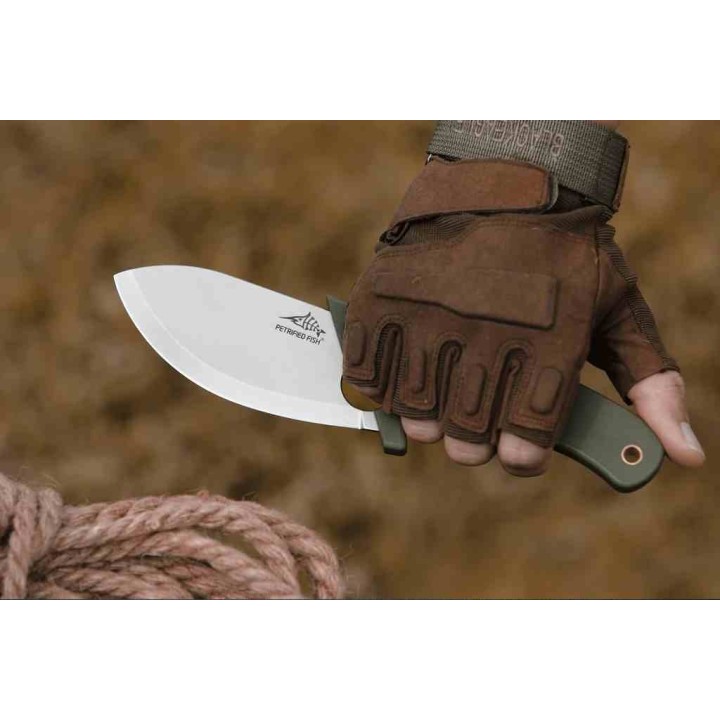 Couteau Petrified Fish Eel Green Lame Drop Point 9Cr18MoV SW Manche G10 Green Etui G10 PFKH01GRW - Livraison Gratuite