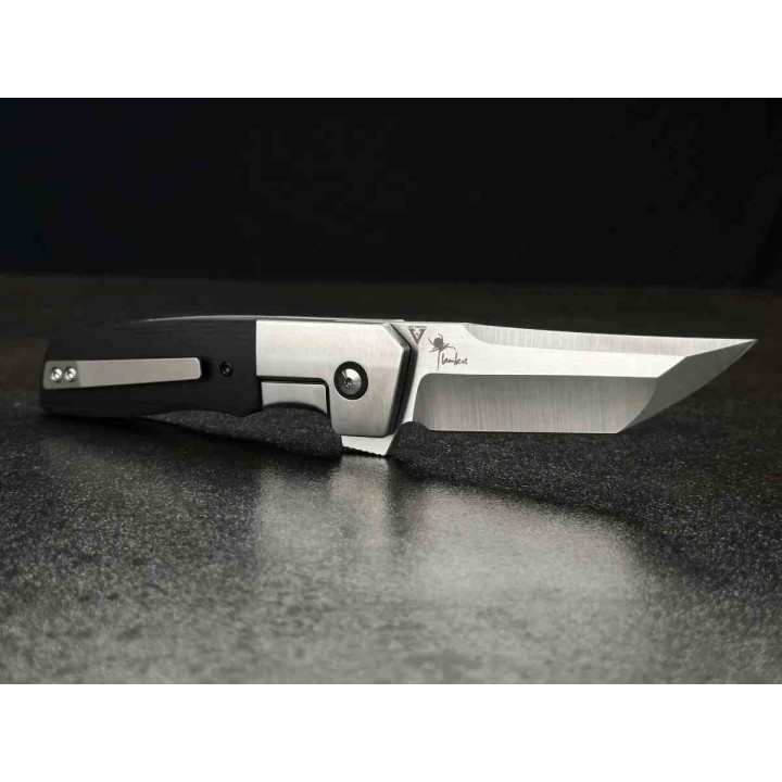 Couteau Begg Knives Seishin Lame Tanto Acier VG10 Manche G10 Noir Frame Lock Clip BG052 - Livraison Gratuite