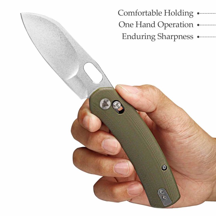 Couteau TRIVISA Lamb Green Lame Sheep Foot Acier N690 Manche G10 Clip Axis Lock KIVT TVTY26GN - Livraison Gratuite