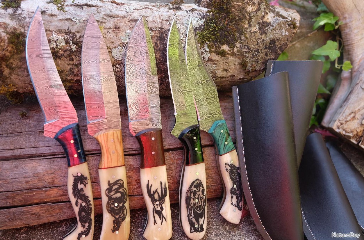 Lot de 5 Couteau de Chasse Damas Lame 256 Couches Manche OS Scrimshaw Gravures Fabr Artisanale Etui